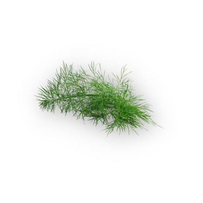 ALASTIN Restorative Neck Complex 50mL dill extract ingredient