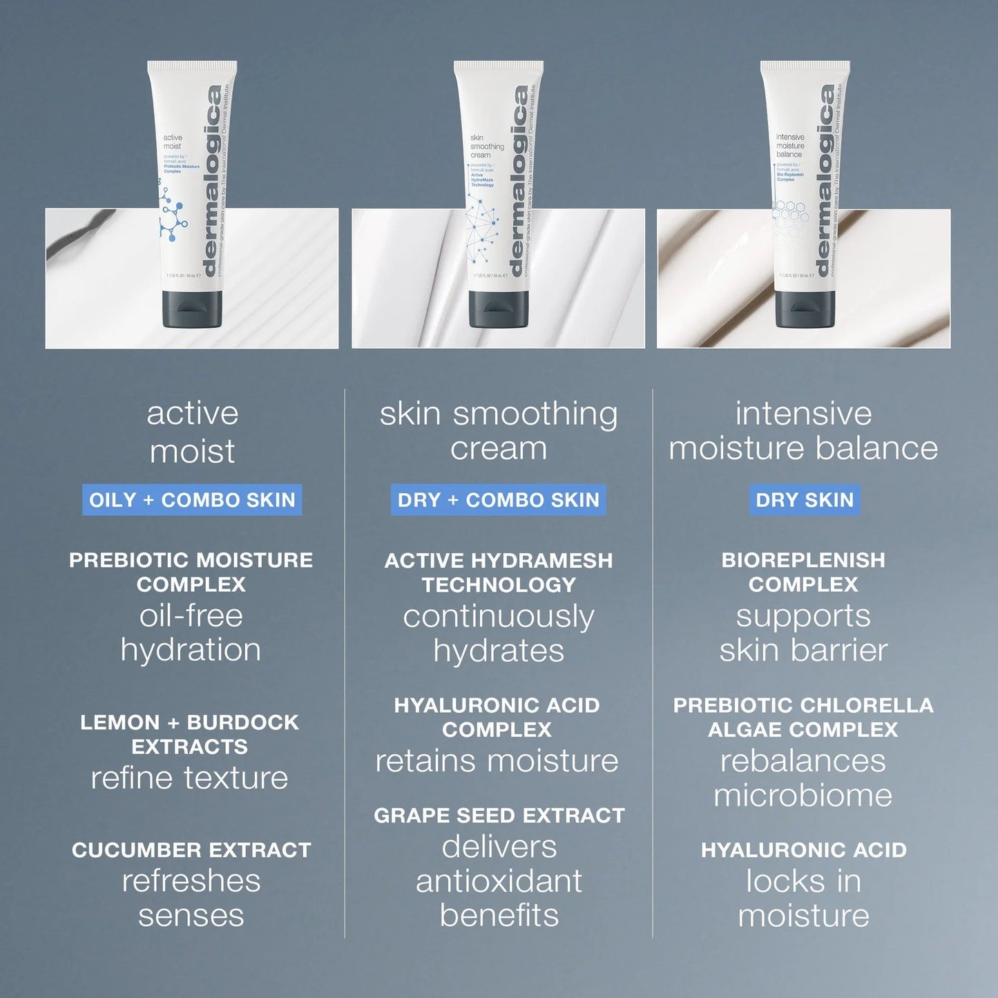 Dermalogica Active Moist 100mL product detail image 2